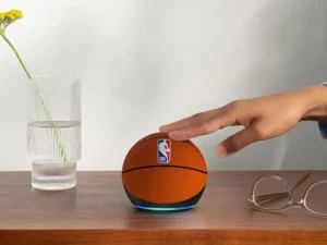 NBA Echo Dot